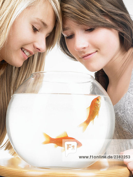 Mädchen schauen sich Goldfische im Aquarium an