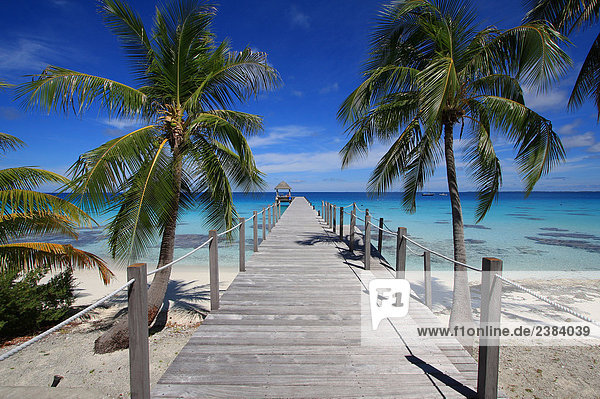 Pier und Palm Trees am Strand  Maitai Dream Hotel  Fakarava  Tuamotu-Archipel  Französisch-Polynesien  Polynesien  Pacific Island