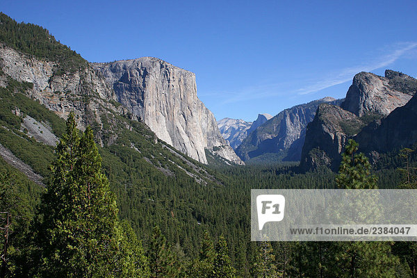 Erhöhte Ansicht der Bäume im Wald  Yosemite-Nationalpark  Kalifornien  USA