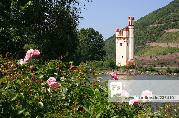 Turm am Waterfront,  Mäuseturm,  Bingen,  Rheinland-Pfalz,  Deutschland