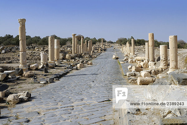 Alte Ruinen von Säulen  Umm Qais  Jordanien