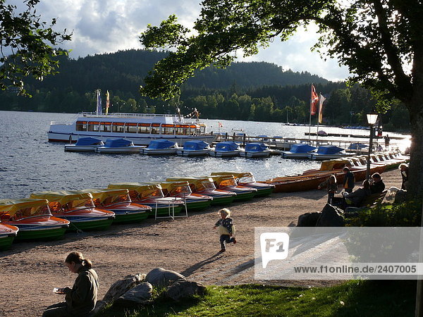 Pedal boats at lakeside  Titisee  Black Forest  Baden-Wuerttemberg  Germany