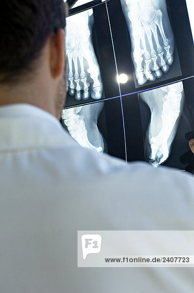 Rückansicht eines männlichen Arztes  der einen Röntgenbericht untersucht.