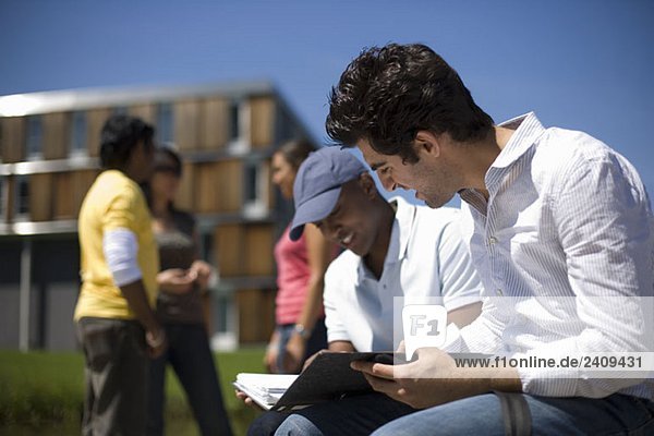 University students studying on campus