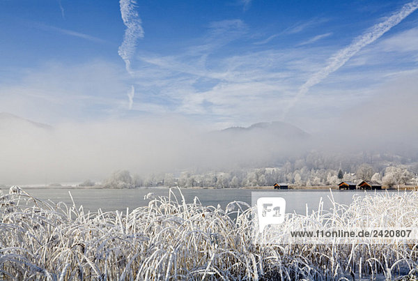 Germany  Bavaria  Lake in winter