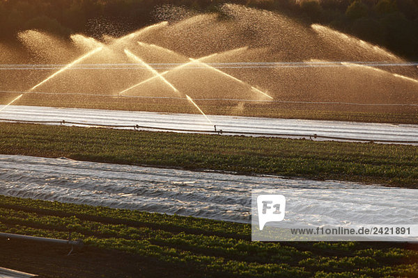 Germany  Irrigation plant on field