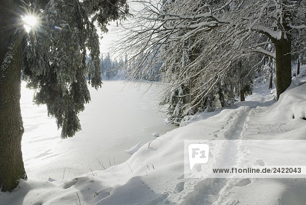 Germany,  Black forest,  Mummelsee,  Winter scenery
