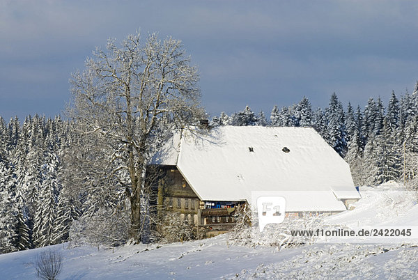 Germany  Black Forest  Breitnau  Schwarzwaldhaus  winter scenery