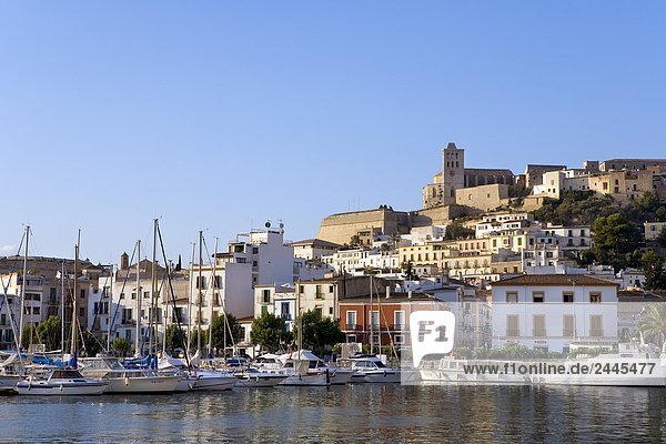 Boote in Marina in der Stadt  Dalt Vila  Ibiza  Balearen Inseln  Spanien