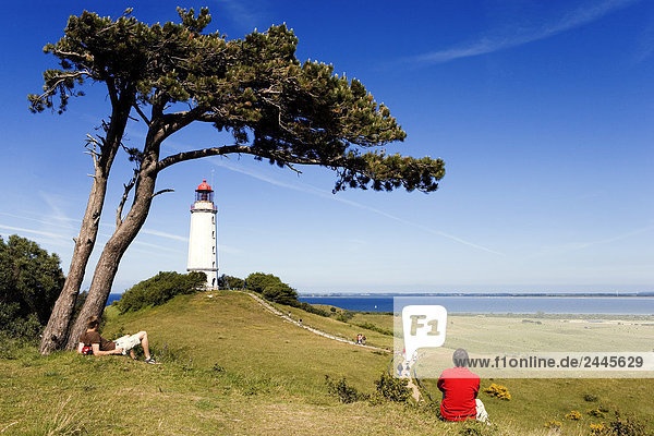 Tourists sitting in field looking at lighthouse  lighthouse  Dornbusch Lighthouse  Hiddensee  Rugen  Mecklenburg-West Pomerania  Germany