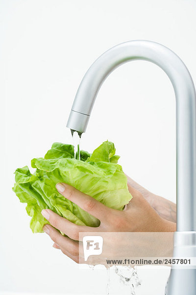 Frau spült Salat unter dem Wasserhahn  abgeschnittene Ansicht der Hände