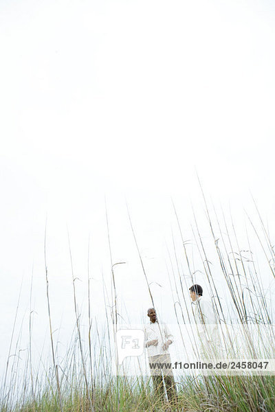 Zwei Männer  die im Freien stehen  niedriger Blickwinkel durch hohes Gras