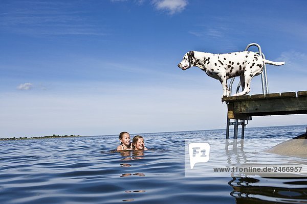 Hund auf einer Mole und Mädchen schwimmen Oland Schweden.