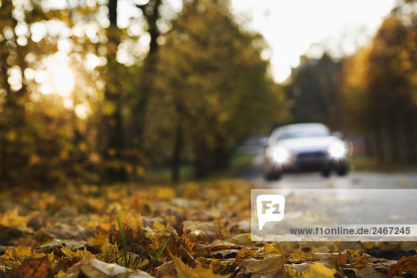 Ein Cabriolet auf einer Straße ein Herbsttag Schweden.