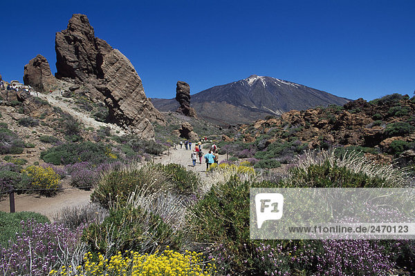 Hikers hiking  Pico De Teide  Tenerife  Canary Islands  Spain