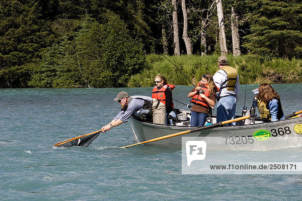 Netting-Fisch von Drift Boot Kenai River Kenai-Halbinsel in Alaska Sommer Guide