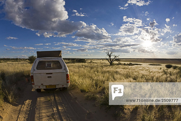 Africa  Botswana  Vehicle on track