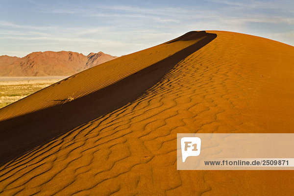 Afrika  Namibia  Sanddünen  Namibwüste