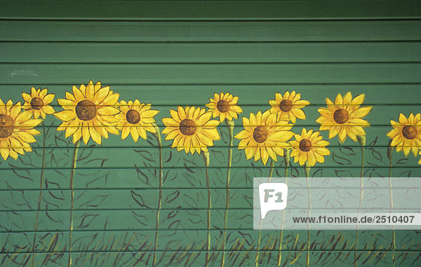 Italy  Sardinia  Painted sunflowers on green wall