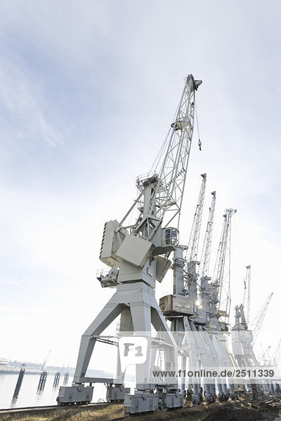 Germany  Hamburg harbour  container cranes