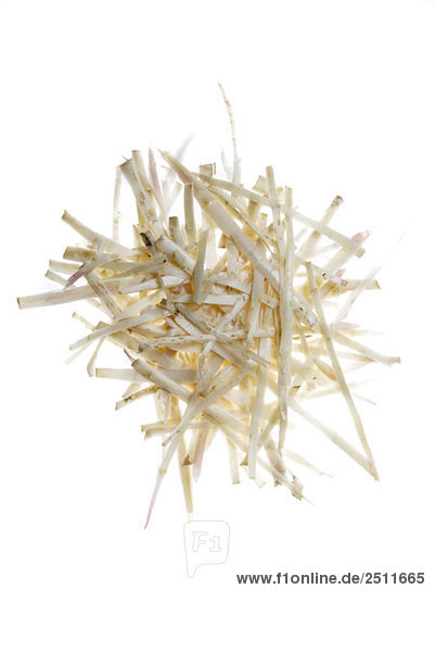 Weiße Spargelschalen (Asparagus officinalis)  Nahaufnahme