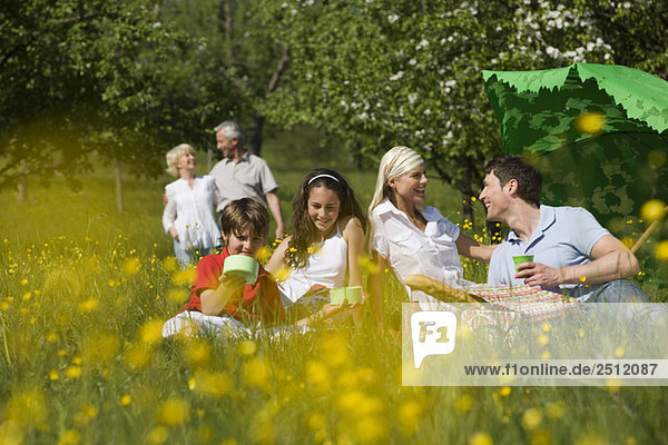 Deutschland  Baden Württemberg  Tübingen  Drei-Generationen-Familie beim Picknick auf der Wiese