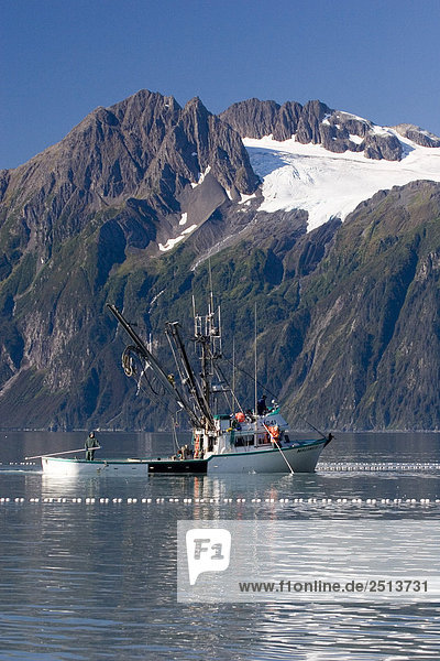 Kommerzielle Fischerboot * Malamute Kid * seining für Silber Lachs Port Valdez Prince William Sound Alaska