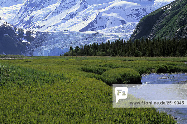 Grass Filled Glacial Valley @ Surprise Glacier PWS AK SC Summer Chugach NF