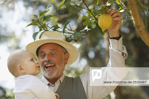 Großvater zeigt dem Baby Zitronenbaum