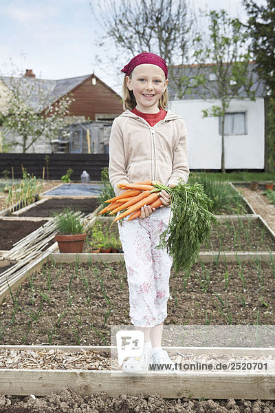 Mädchen auf Kleingarten mit Karotten