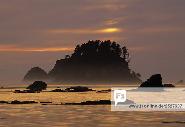Sunset at Olympic National Park Cape Alava