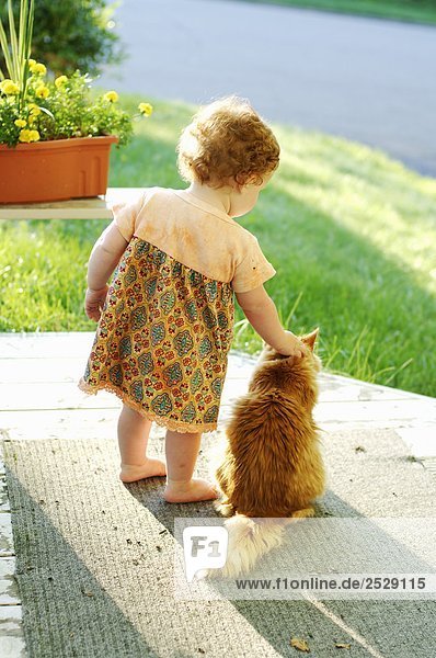 Kleine Mädchen auf einer Veranda mit einer Katze
