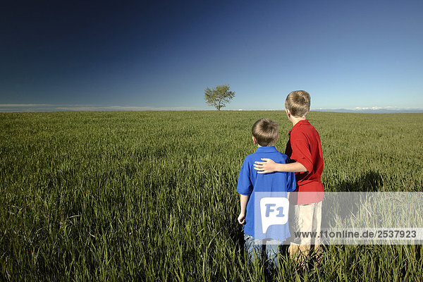Two Boys Standing in Field looking at Tree in Distance  Calgary Alberta