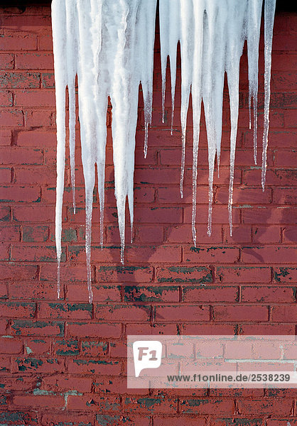 Large Icicles Against Red Brick Wall