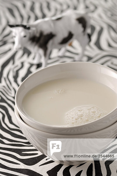 Schüssel mit Milch auf einem tischtuch zebra
