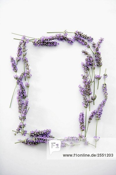 Lavender Flowers Frame