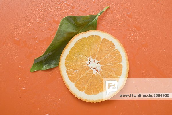 Orangenscheibe und Blatt mit Wassertropfen