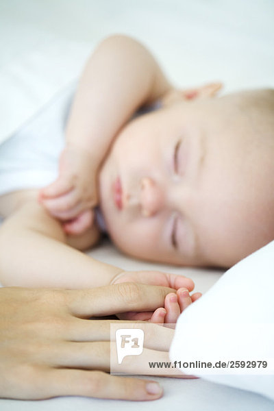 Erwachsener hält die Hand des schlafenden Babys  Ausschnittansicht
