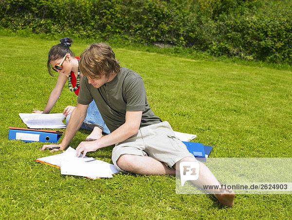 Zwei junge Leute studieren auf dem Rasen