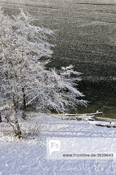 Germany  Bavaria  Winter scenery  frozen lake