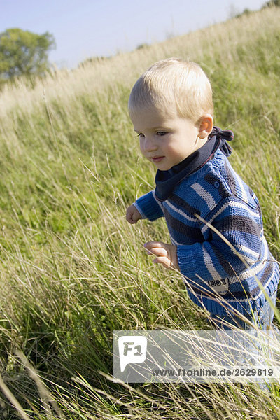 Little boy (1-2) walking in the meadow