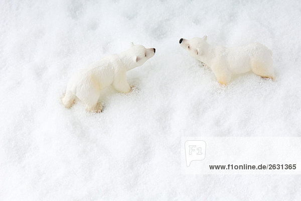 Toy polar bears in snow  overhead view