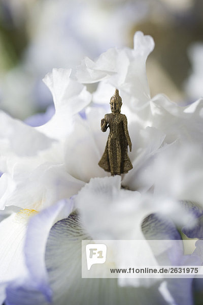 Miniatur-Buddha-Figur in der Mitte der Iris stehend