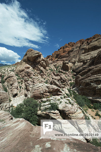 Red Rock Canyon  Nevada  USA
