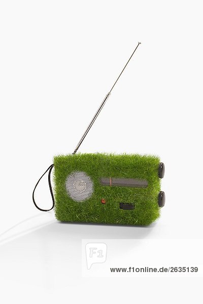 Gras auf transistor