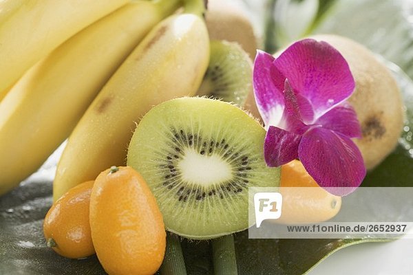 Bananen  Kiwis  Kumquats und Orchidee