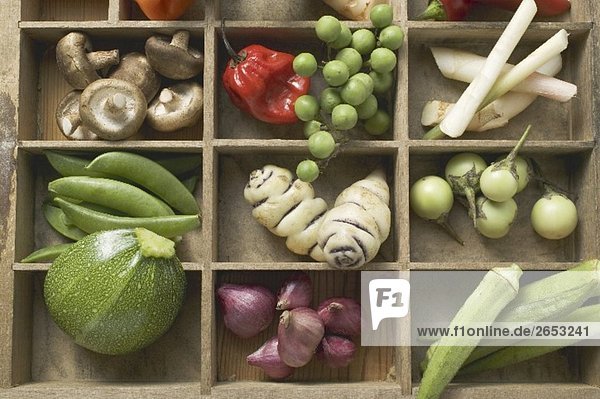 Verschiedene Gemüsesorten  Gewürze und Pilze im Setzkasten