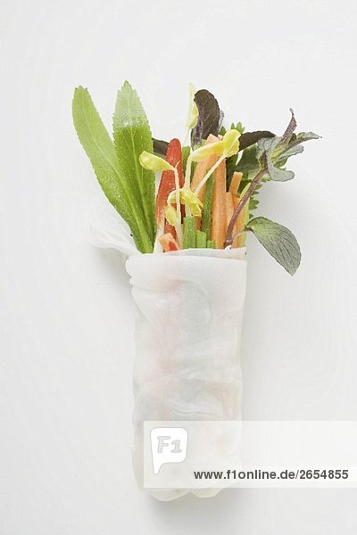 Reispapierröllchen mit Gemüse  Glasnudeln und Kräutern