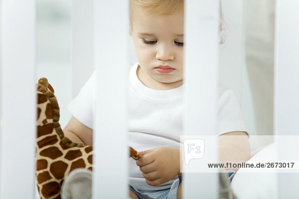 Toddler sitting in crib  playing with stuffed giraffe