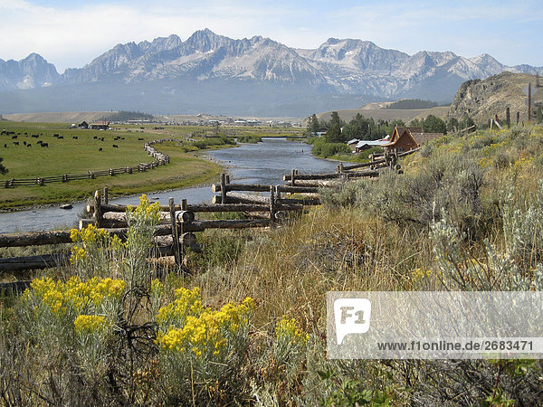 'Fence along Edge of Salmon River with Stanley and Sawtooth Mountains in background  Stanley  Idaho